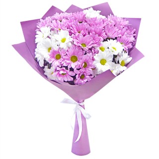 Купить цветы в солнечнодольске ставропольского края купить цветы в инстаграме